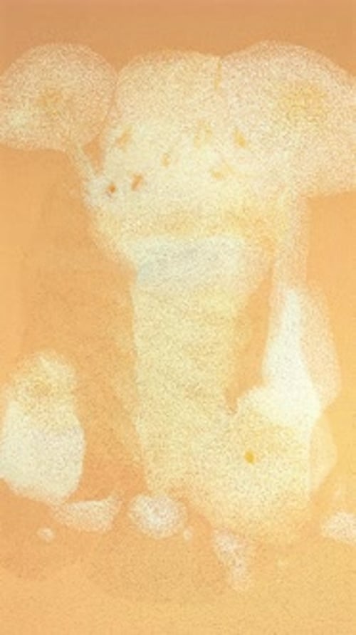 Modern Daisy Dessert with Abstract Particle Dissolve Effect