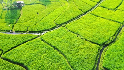 Wonderful sunrise scenery indonesia nature mountain valley forest with bright sky