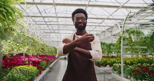 Handsome African American Male Standing in Middle of Row of Greenhouse Wearing Glasses and Brown