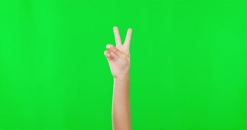 Hands, green screen and closeup of a peace sign in a studio for language, symbol or communication
