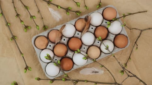 Chicken eggs in a tray, twigs with green leaves and feathers rotate. Easter background