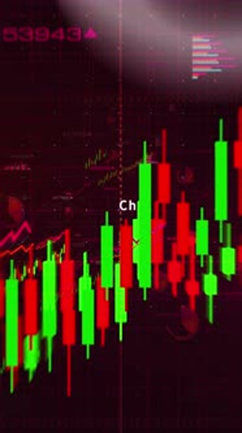 USA EU China India charts and graphs diagram vertical video