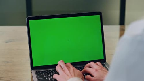 Woman Hands Typing Mockup Laptop in Office Closeup