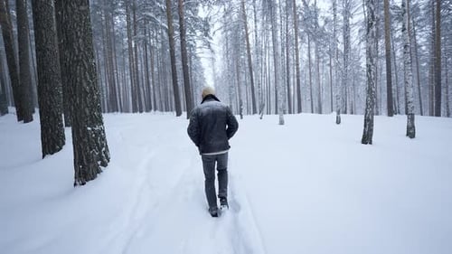 Rear view of man walking in winter forest. Walking along path with falling snow in winter forest