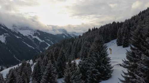 Elevated View of Skier Navigating Snowy Slope Through a Dense Pine Forest in Majestic Alps During