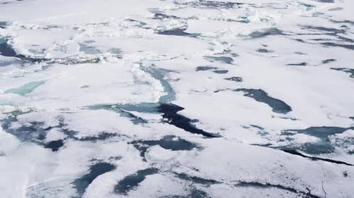 L'étendue de la glace de mer polaire s'est fracturée en floes dérivants avec la capture de pistes sombres et de mares d'eau de fonte