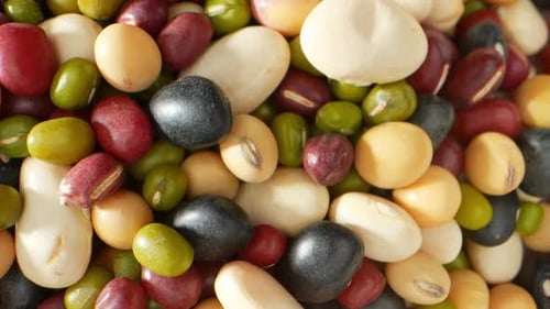 Close up footage of assorted dried beans