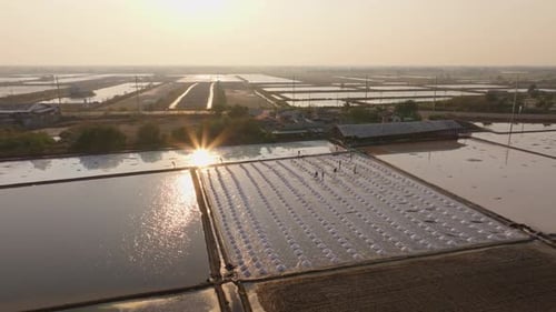 Drone capture of salt farmers working in coastal Thailand fields
