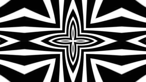 Black and white picture of flower. Kaleidoscope VJ loop