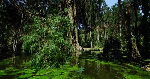Serene Cypress Swamp with Mosslined Roots and Shimmering Surface