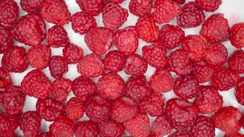 Close Up Rotation Raspberry Macro Red Fresh Raspberries Fruit Rotation