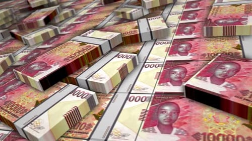 Guinea francs money banknote pack loop