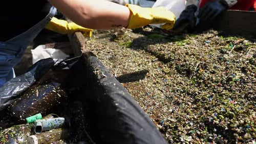 People Sorting Plastic Waste for Recycling in Daytime