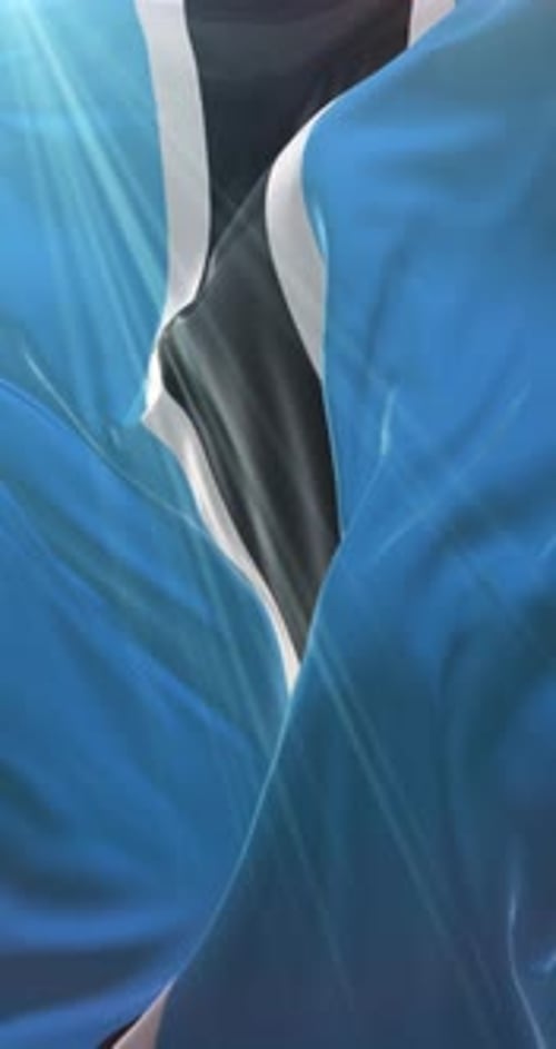 Vertical Waving Flag Animation with Blue, Black, and White Stripes