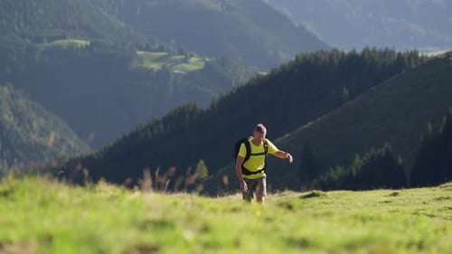 Male Hiker Taking A Glance Of The Mountain And Pine Views