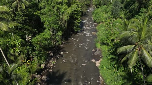 Fluss im Dschungel 018