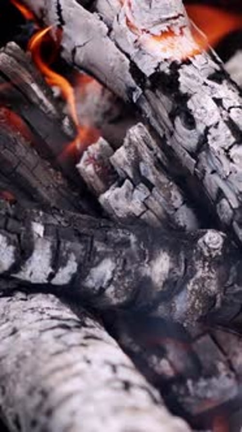 Nahaufnahme eines lodernden Feuers. Flammen eines Stücks Brennholz am offenen Lagerfeuer