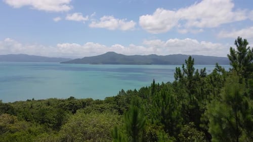 Spectacular Aerial View of the Sea and Coast with Pine Trees