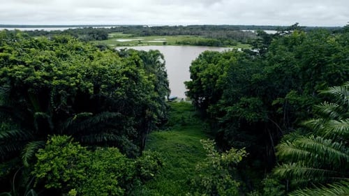 Vista aérea de la densa selva amazónica y el río - Amazonas, Colombia
