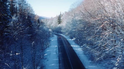 Car Drives Snowy Winter Road is Beautifully Surrounded By Frosty Trees