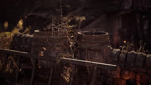 Rustic Outdoor Scene with Old Wooden Barrels