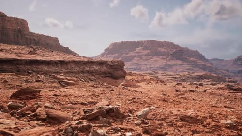 Grand Canyon no Arizona em Sunny Day