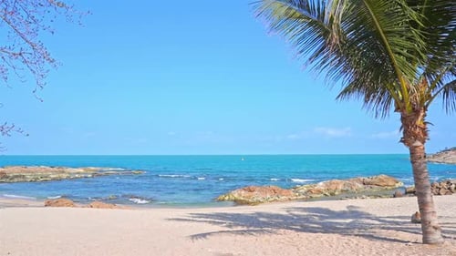 Palm tree and tropical beach on remote exotic island, blue sky and horizon, full frame