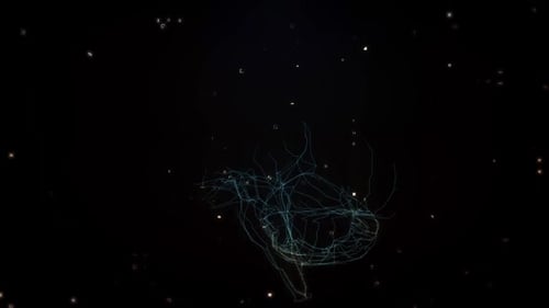 AI Brain Data Processing Wireframe Animation