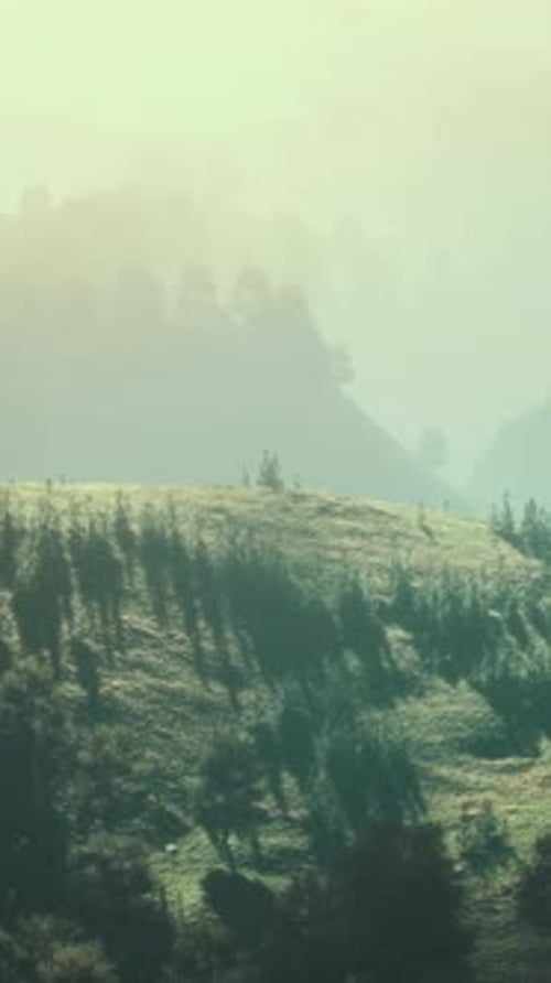 Autumn Forest on Green Rocky Hills