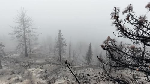 Aerial of a burnt mountainside from a recent wildfire.