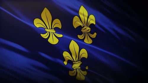 Elegant Waving Fleur de Lis Royal Symbol Background