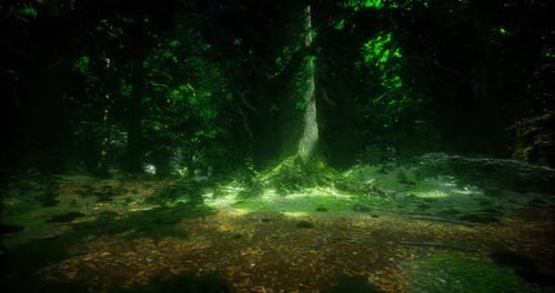 Forest Landscape with Lush Greenery and Sunlight Filtering Through Branches