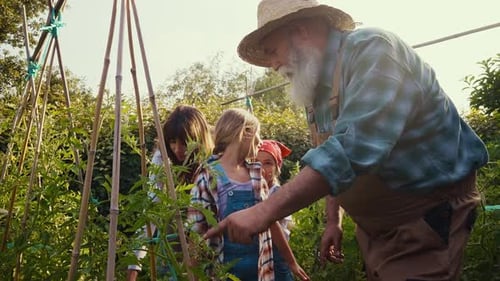 Grandfather and Family Explore Thriving Garden on Sunny Day