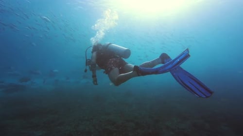 Snorkel, fish in ocean and person swimming in coral reef in Raja Ampat with biodiversity