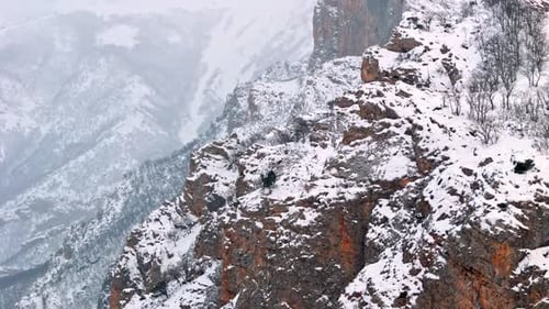 Winter Hill with Sparse Trees