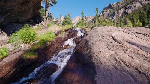 Serene Forest Waterfall Cascading Slowly Through Mossy Terrain Below Trees