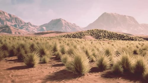 Desert Landscape with Low Bushes Surrounded By Majestic Mountains