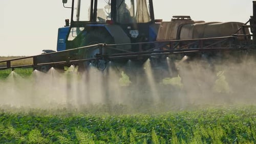 Versprühen von Pestiziden und Insektiziden auf ein landwirtschaftliches Feld, traktorgezogene Spritze, Unkraut