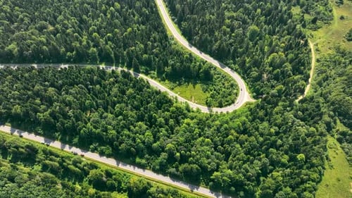 Aerila View Car Track Passing Through the Forest in the Mountains