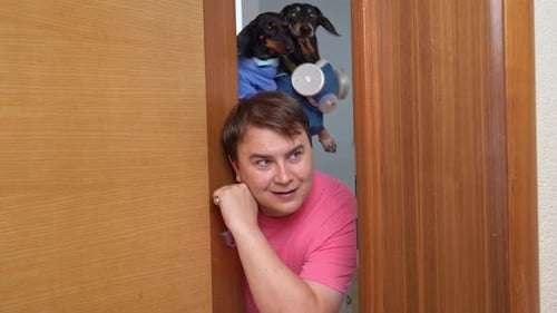 Adult Peeks Through Door with Two Dachshunds