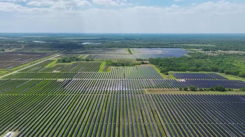 Sustainable Electric Power Plant with Many Rows of Solar Photovoltaic Panels for Producing Clean