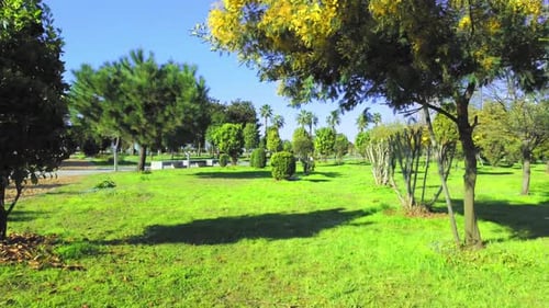 Cityscape of public park on bright sunny day, flight of drone.