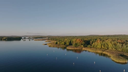 The drone shot shows a lake and its shoreline as the drone moves forward.