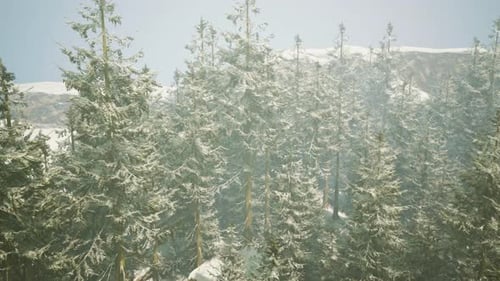 A Snowy Forest with a Majestic Mountain in the Distance