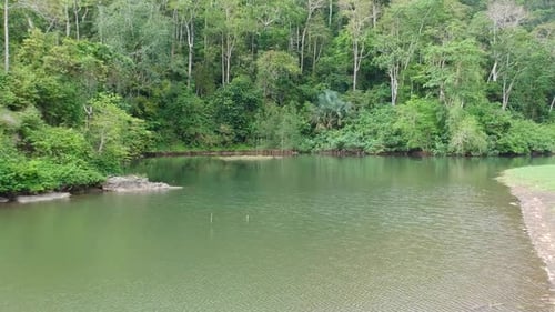 Green Water of The Lake