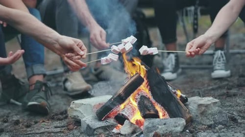 Gathering Together Around the Warm Campfire for Delicious Marshmallow Roasting Fun