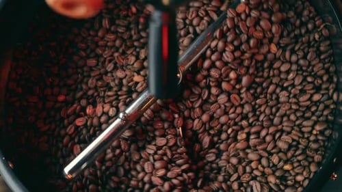 Roasted Aromatic Coffee Beans Stirring Inside Roasting Machine