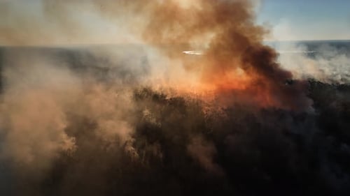 Aerial drone shot showing forest fire smoke rising from the forest below . Drone travels into the sm