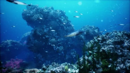 Animated Coral Reef with Swimming Fish and Bubbles