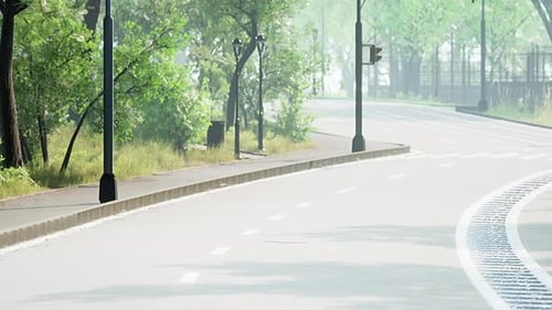 Foto da estrada no meio da floresta